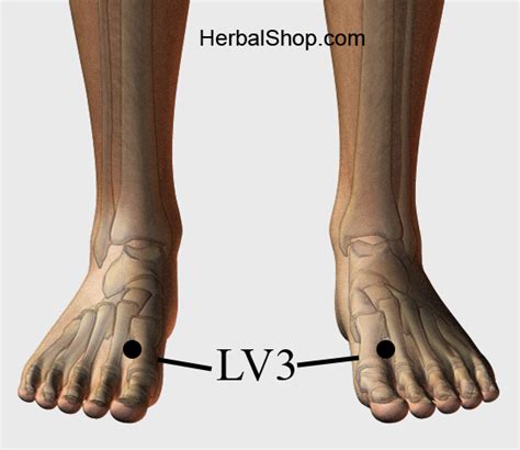 lv 3 point|acupuncture point lv 3.